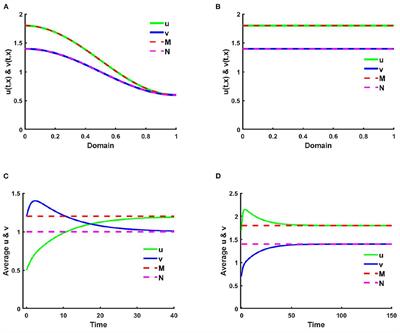 Dynamics of heterogeneous population due to spatially distributed parameters and an ideal free pair